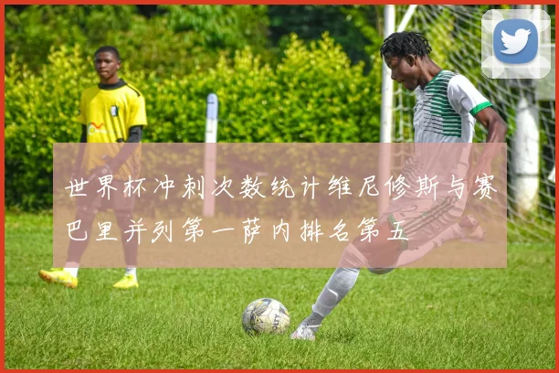 世界杯冲刺次数统计维尼修斯与赛巴里并列第一萨内排名第五