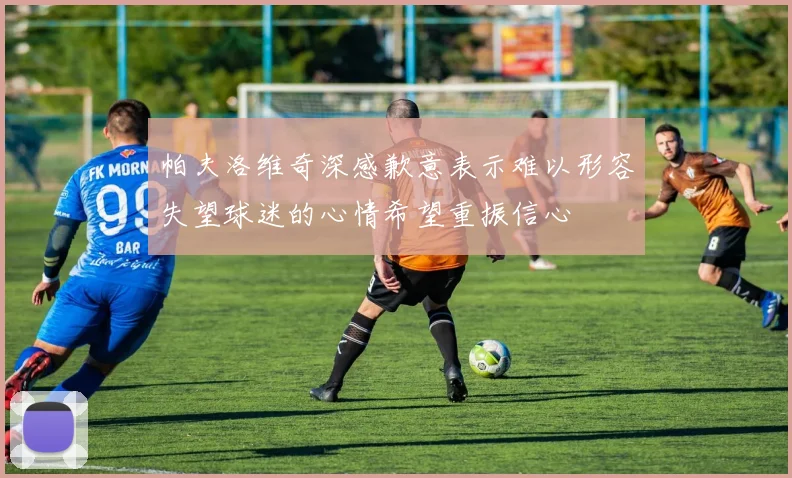 帕夫洛维奇深感歉意表示难以形容失望球迷的心情希望重振信心