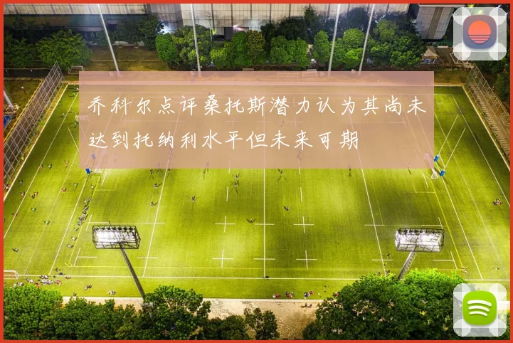乔科尔点评桑托斯潜力认为其尚未达到托纳利水平但未来可期